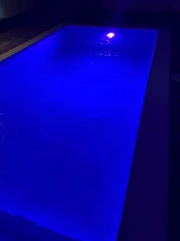 Tropical Gardens Olympic New Providence Paradise Island BS