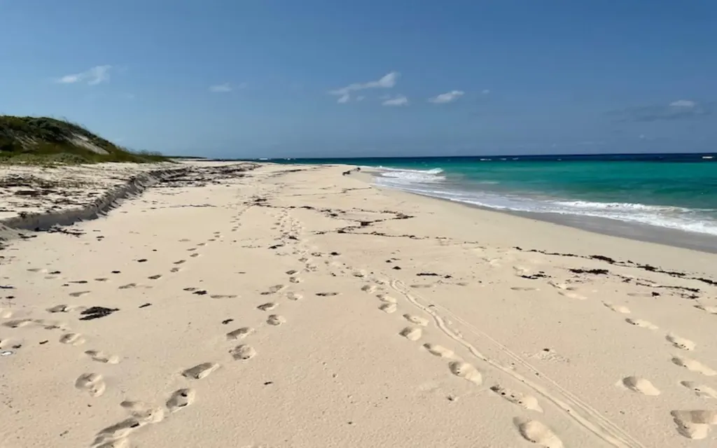 Parcel A Morrisville Long Island BS