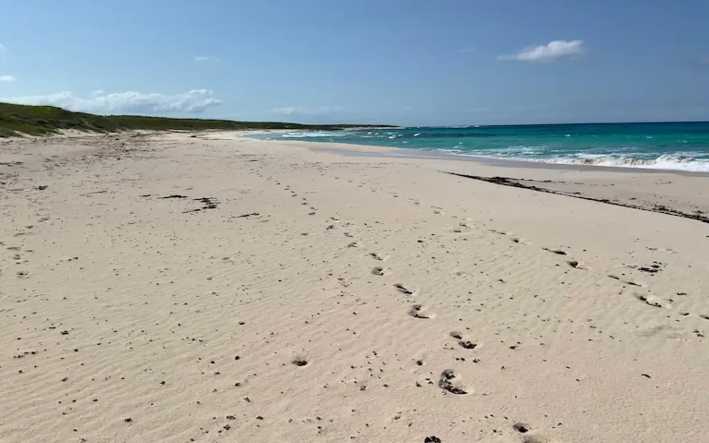 Parcel A Morrisville Long Island BS