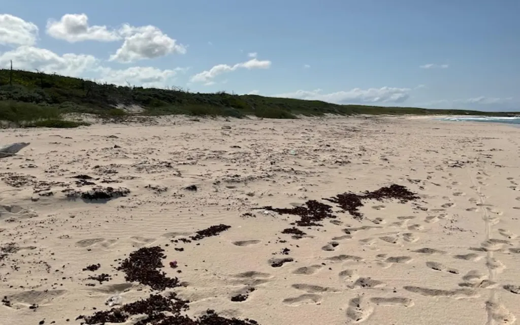 Parcel A Morrisville Long Island BS