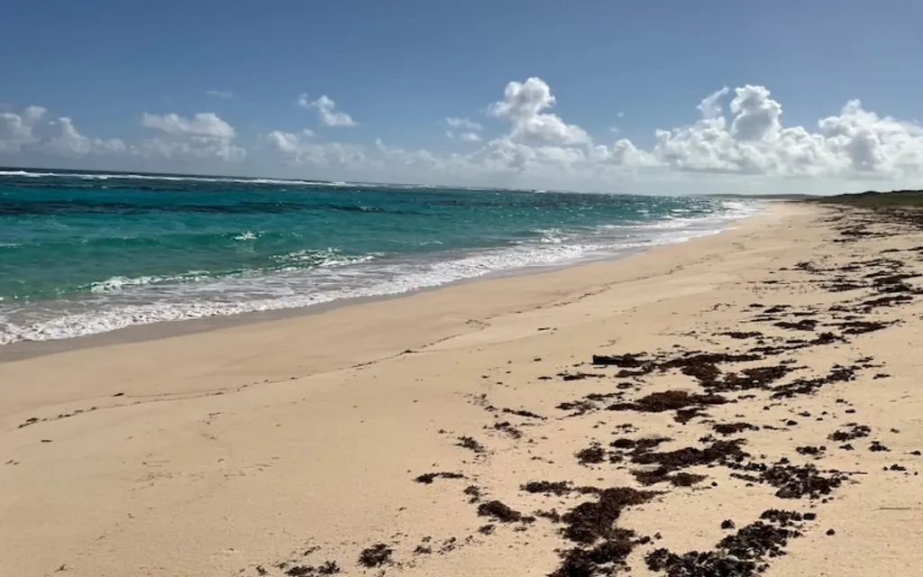 Parcel A Morrisville Long Island BS