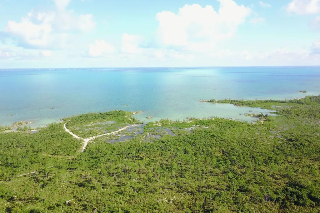 353 Acres North Marsh Har Abaco BS