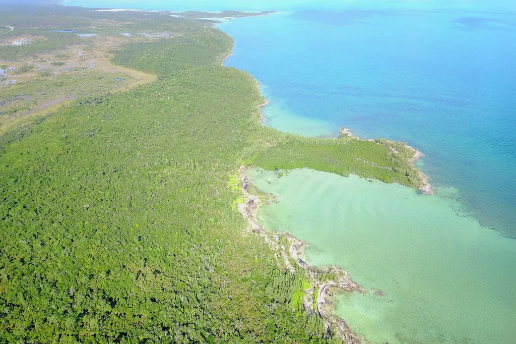 353 Acres North Marsh Har Abaco BS