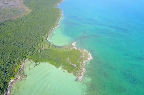353 Acres North Marsh Har Abaco BS