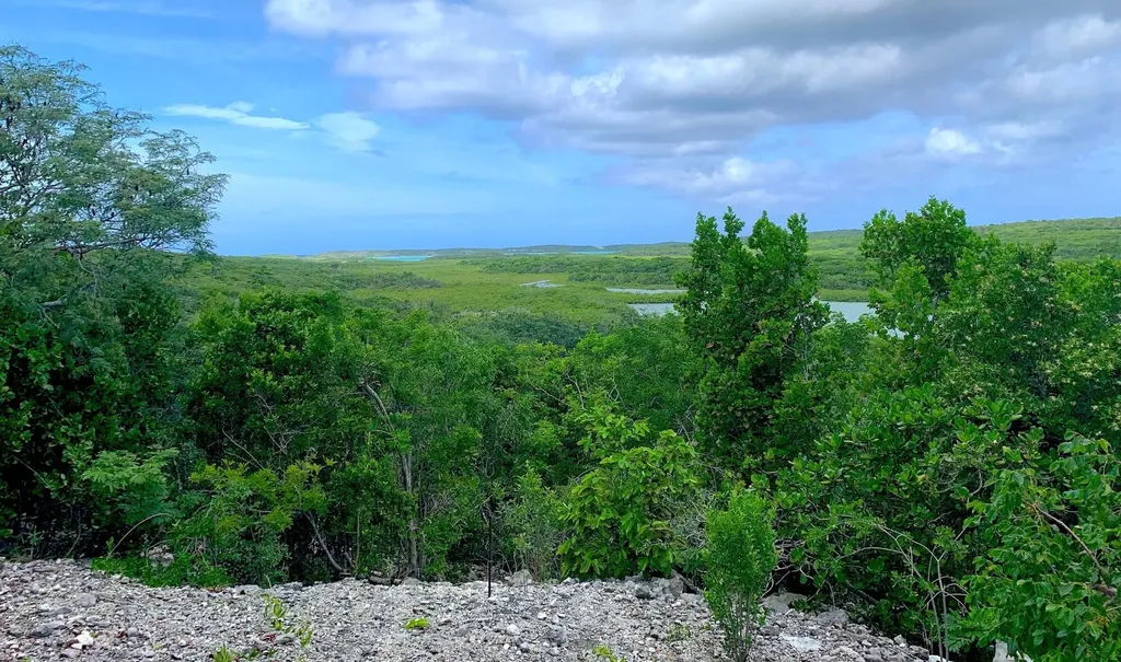 Seymour's Hilltop Seaview Long Island BS
