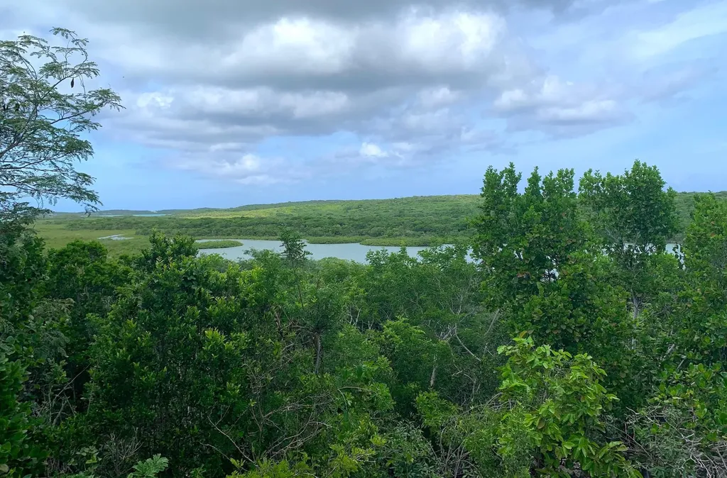 Seymour's Hilltop Seaview Long Island BS