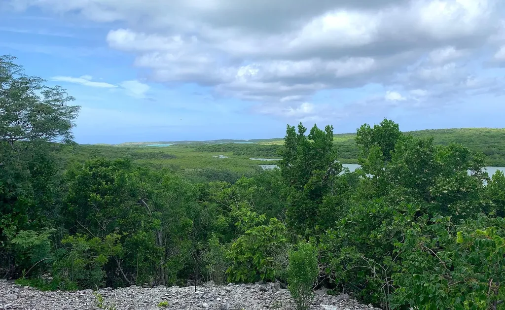 Seymour's Hilltop Seaview Long Island BS
