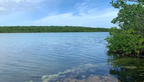 Seymour's Hilltop Seaview Long Island BS