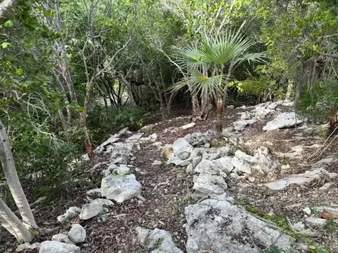 Seymour's Hilltop Seaview Long Island BS