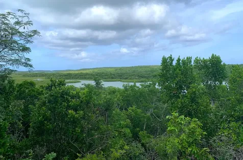 Seymour's Hilltop Seaview Long Island BS