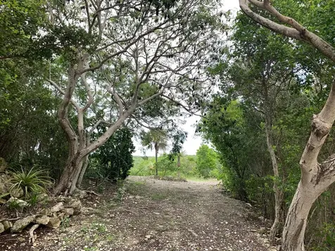 Seymour's Hilltop Seaview Long Island BS