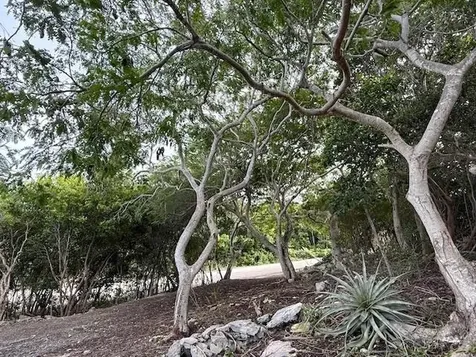 Seymour's Hilltop Seaview Long Island BS