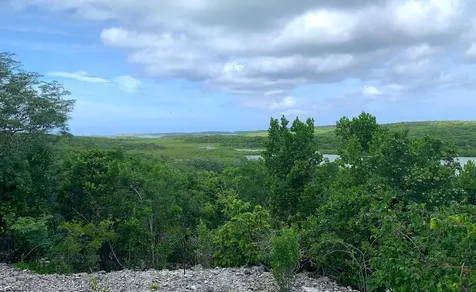 Seymour's Hilltop Seaview Long Island BS