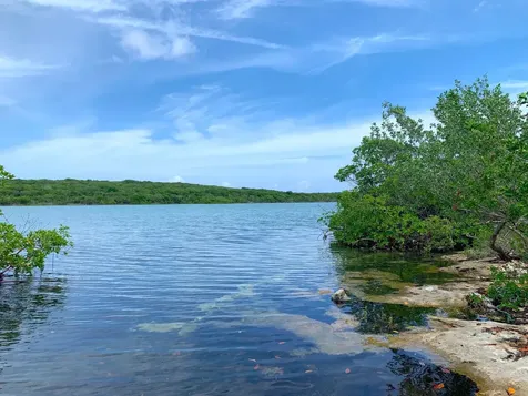 Seymour's Hilltop Seaview Long Island BS