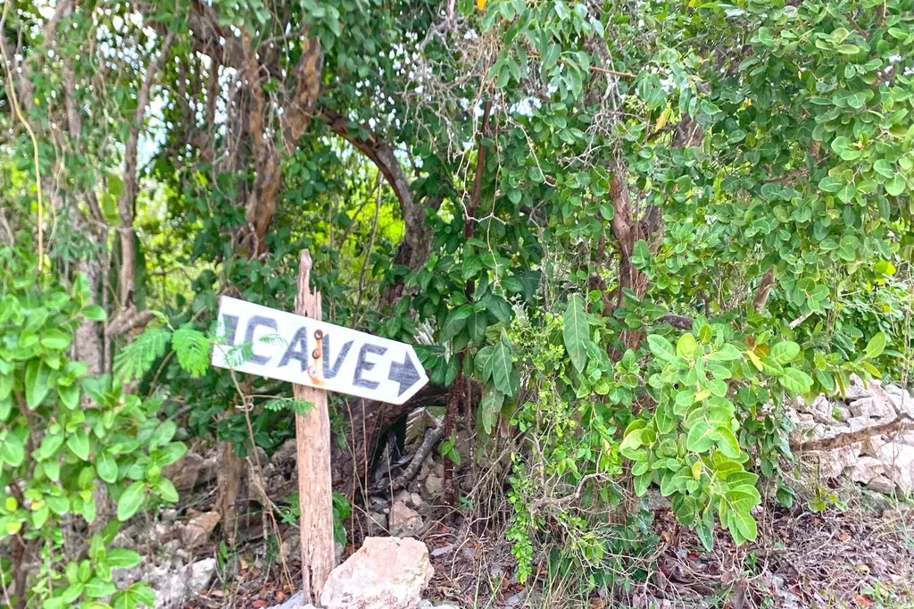 Stella Maris Long Island BS