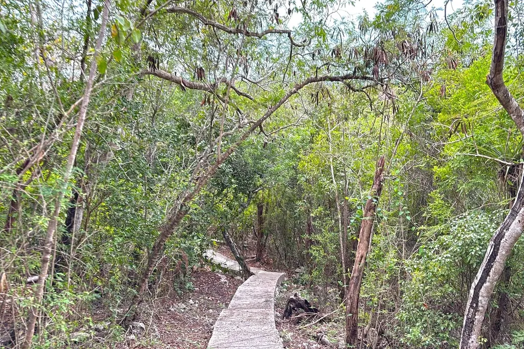 Stella Maris Long Island BS