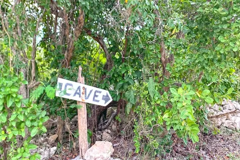 Stella Maris Long Island BS