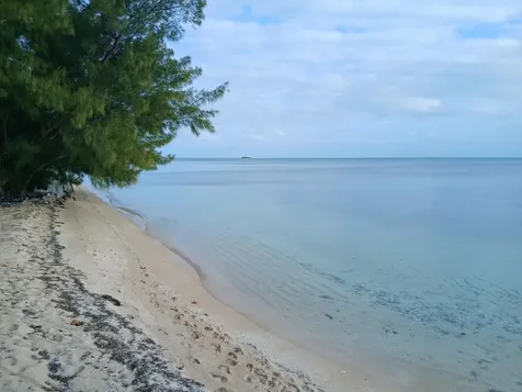 Coral Harbour Drive 2 New Providence Paradise Island BS