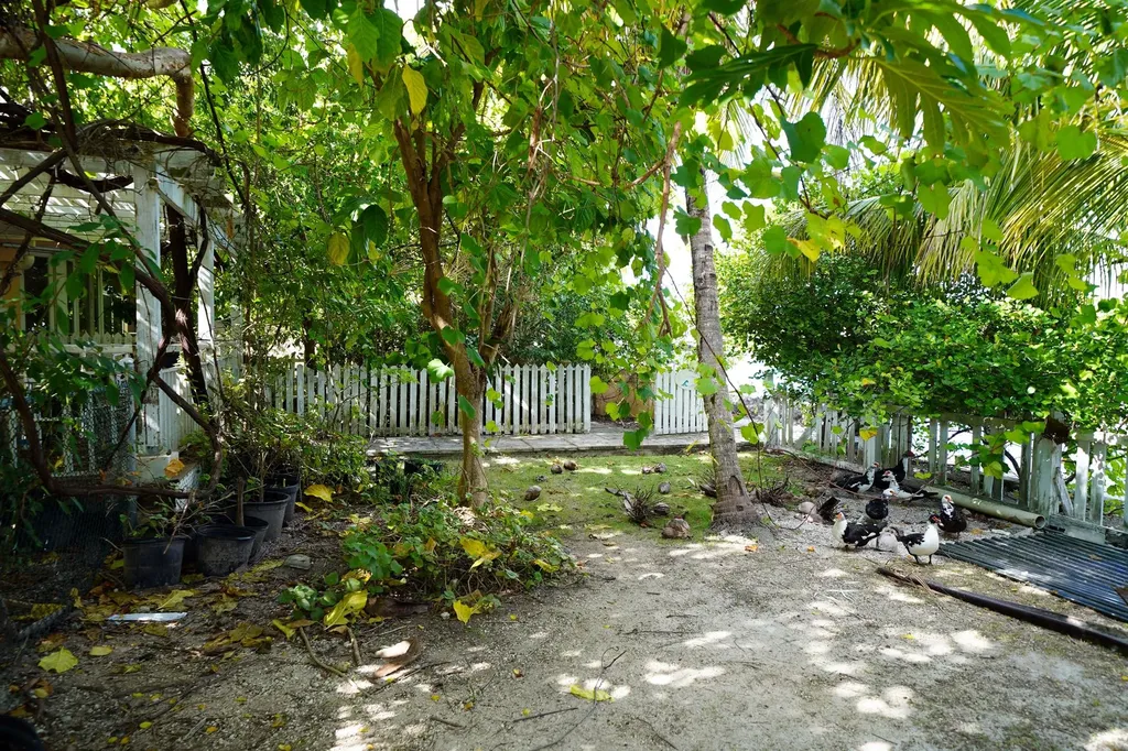 Ranfurly Drive New Providence Paradise Island BS