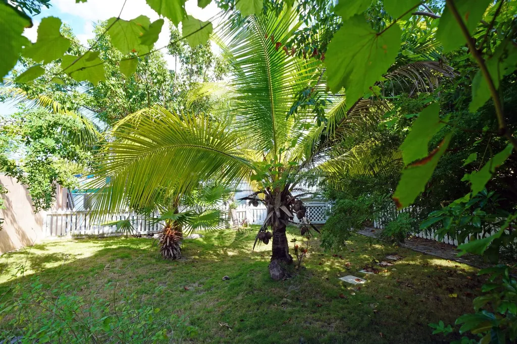 Ranfurly Drive New Providence Paradise Island BS