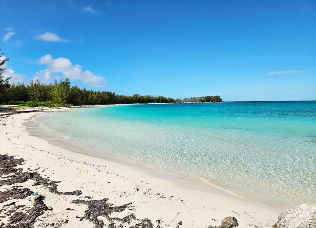 Morgan's Drive Andros BS