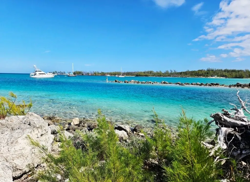 Morgan's Drive Andros BS