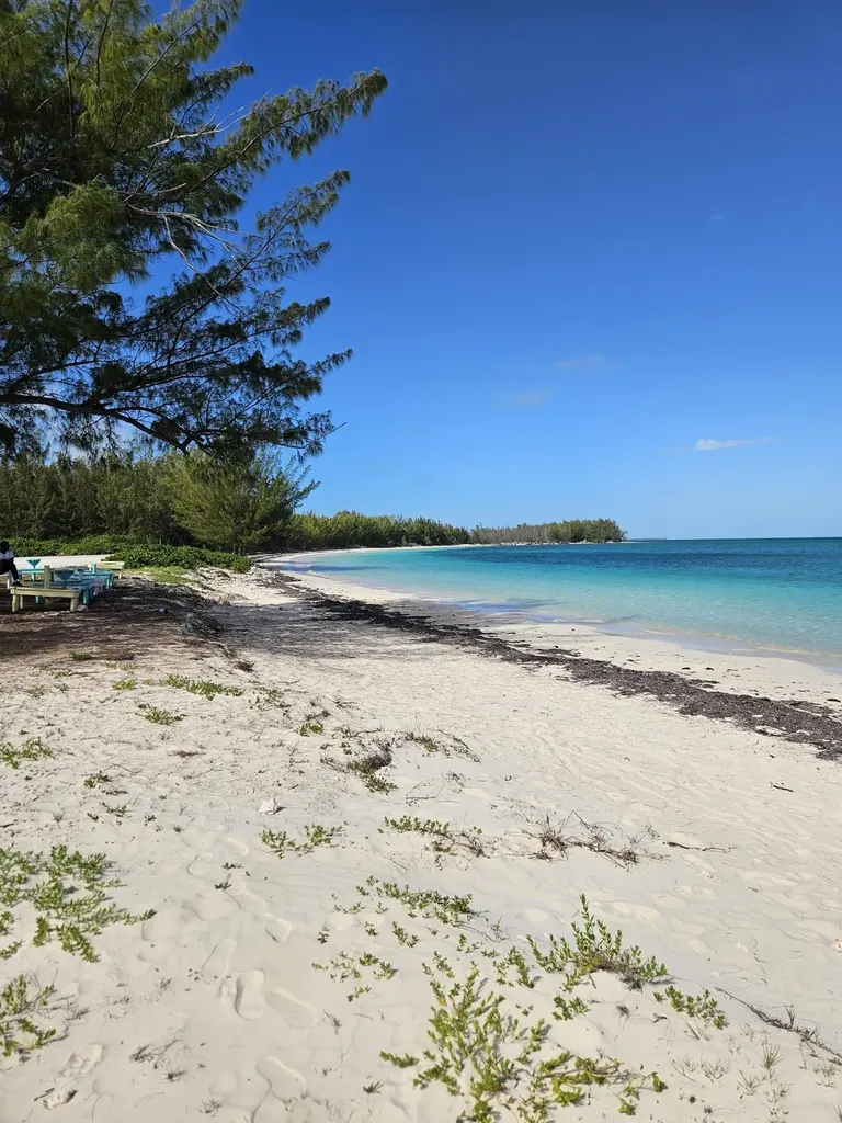 Morgan's Drive Andros BS