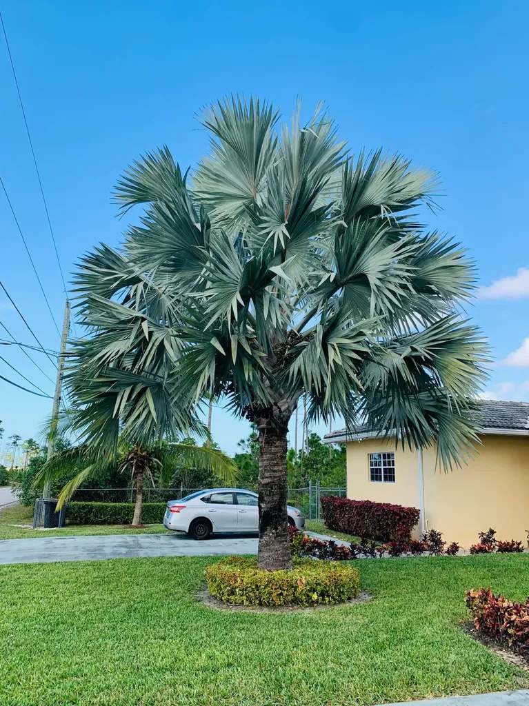 Churchill Drive 13a Grand Bahama Freeport BS