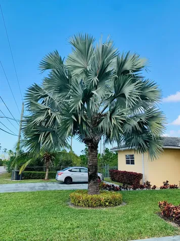 Churchill Drive 13a Grand Bahama Freeport BS