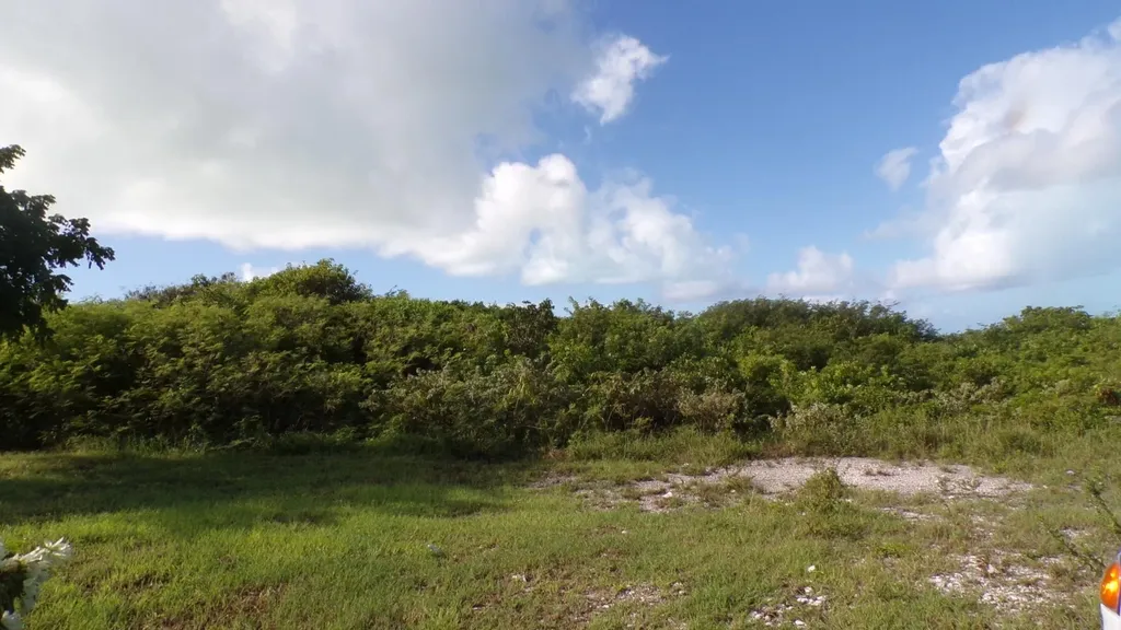 3.49 Acres Buckley's Long Island BS