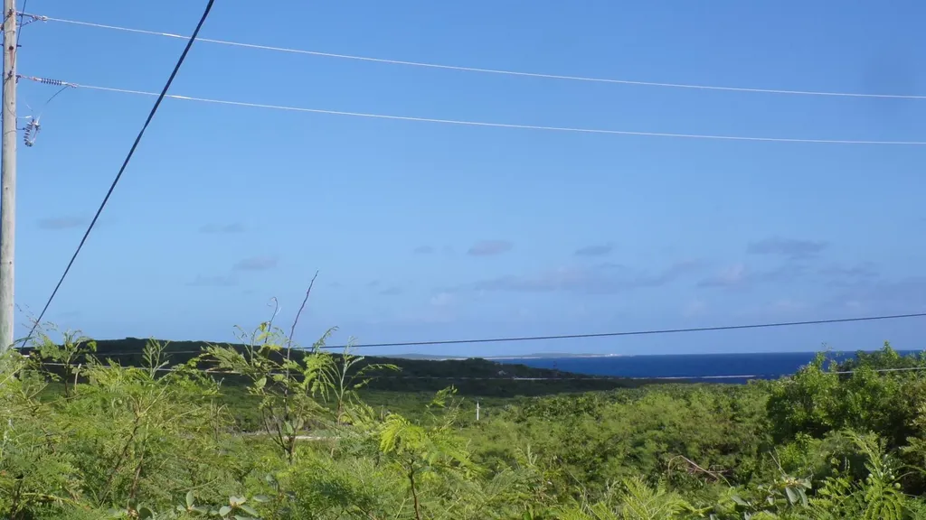 3.49 Acres Buckley's Long Island BS