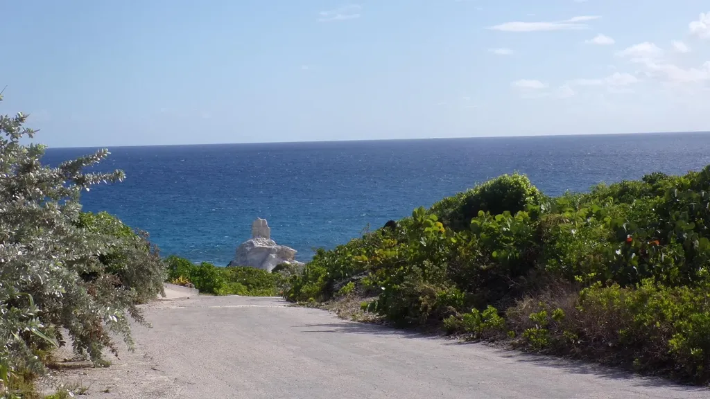 3.49 Acres Buckley's Long Island BS