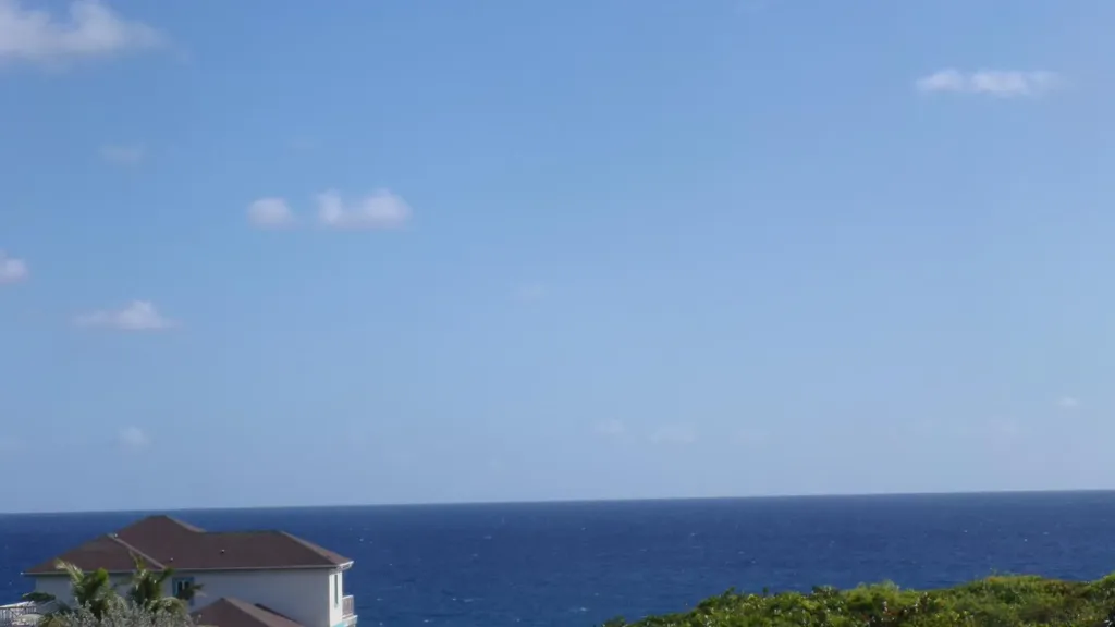 3.49 Acres Buckley's Long Island BS