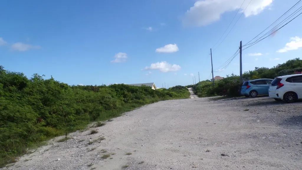 3.49 Acres Buckley's Long Island BS