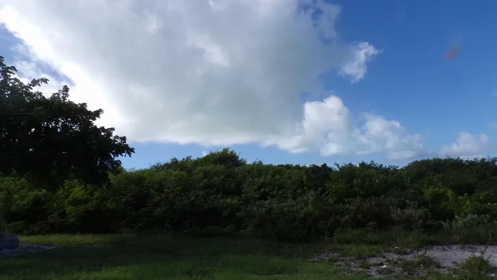 3.49 Acres Buckley's Long Island BS