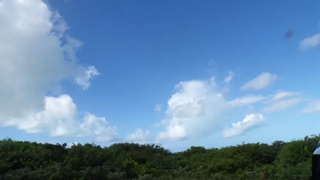 3.49 Acres Buckley's Long Island BS