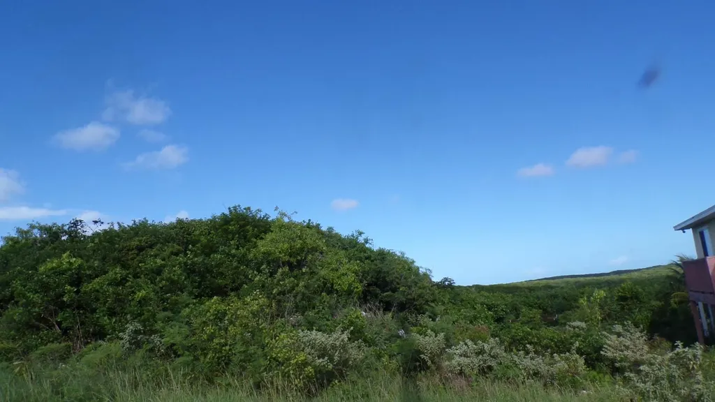 3.49 Acres Buckley's Long Island BS