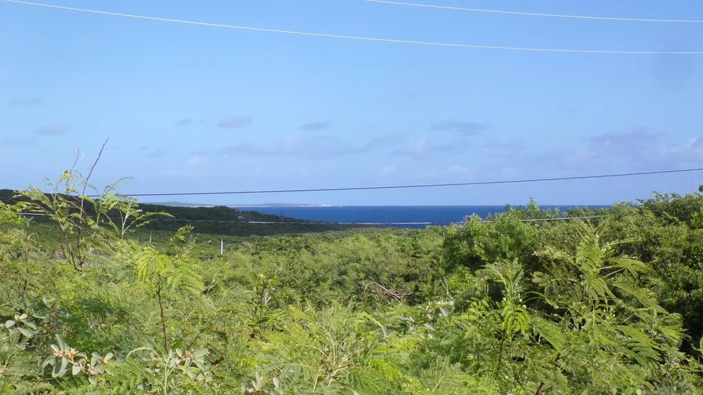 3.49 Acres Buckley's Long Island BS