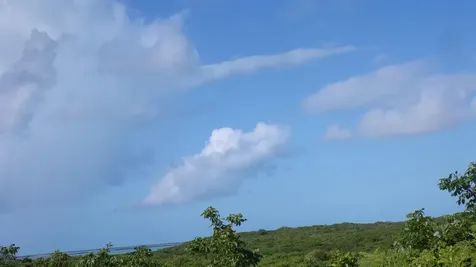 3.49 Acres Buckley's Long Island BS