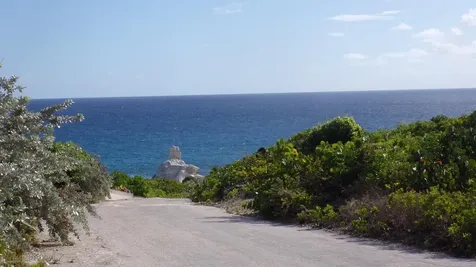 3.49 Acres Buckley's Long Island BS