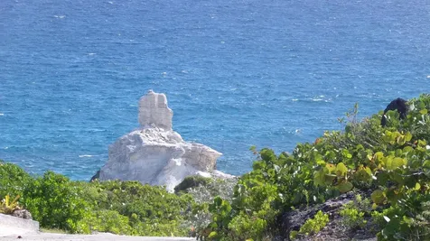 3.49 Acres Buckley's Long Island BS