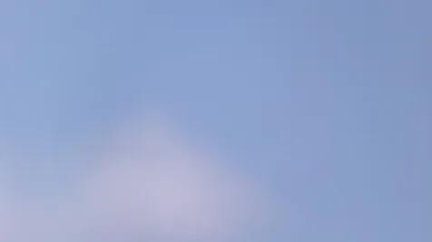 3.49 Acres Buckley's Long Island BS