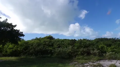 3.49 Acres Buckley's Long Island BS