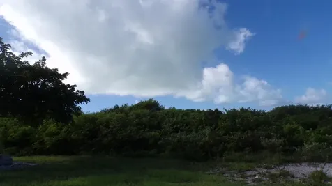 3.49 Acres Buckley's Long Island BS