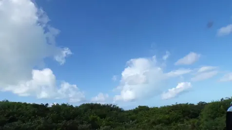 3.49 Acres Buckley's Long Island BS