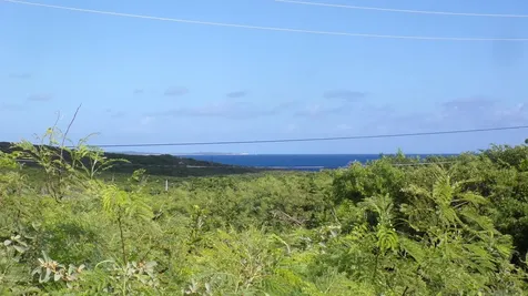 3.49 Acres Buckley's Long Island BS