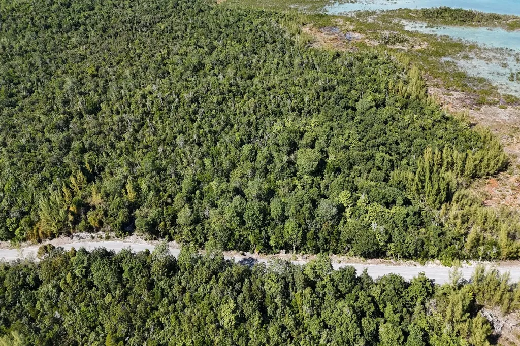 Turtle Cove, The Landing 11 Abaco BS