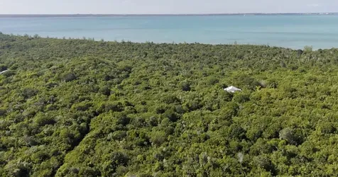 Gumellimi Grove Lot M5 Abaco BS