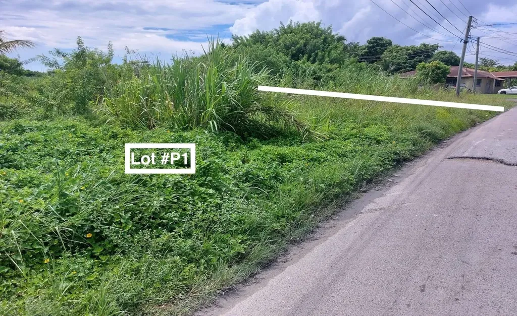 Palm Breeze Drive New Providence Paradise Island BS