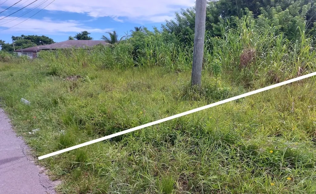 Palm Breeze Drive New Providence Paradise Island BS